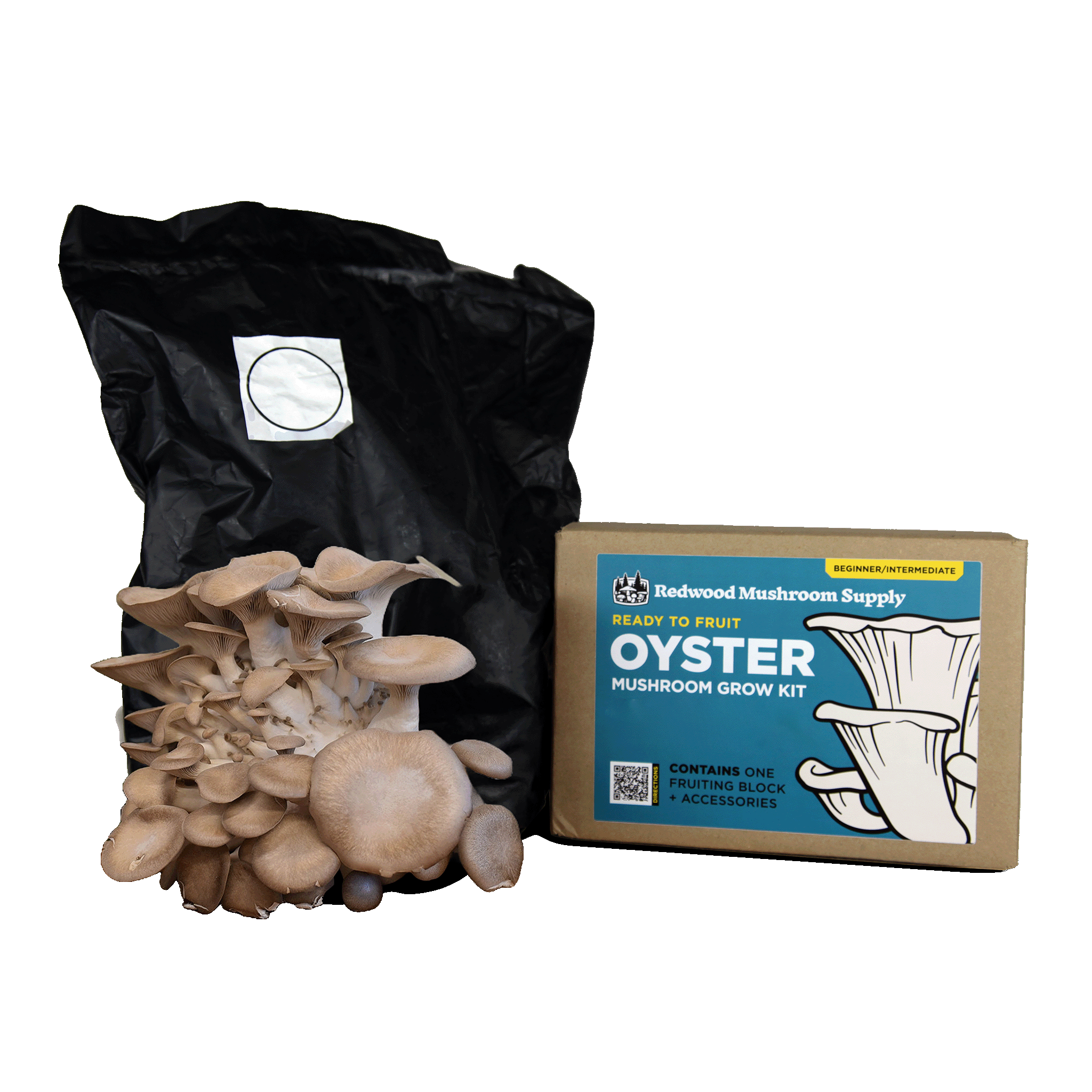 Black Pearl Oyster Mushroom Grow Kit – Ready-to-Grow Gourmet