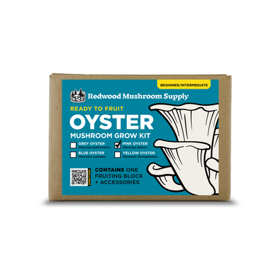 Pink Oyster Mushroom Grow Kit