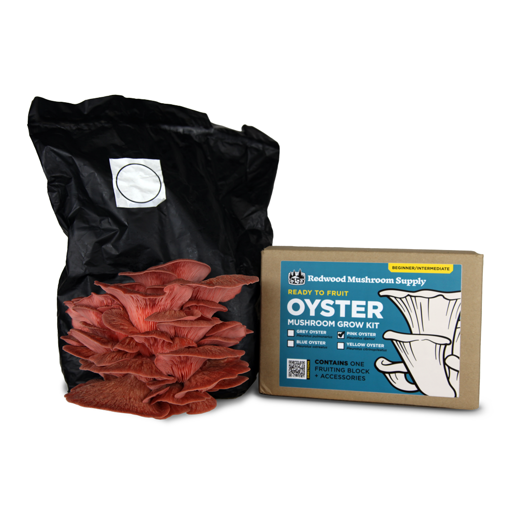 Gourmet Mushroom Kit Subscription Box