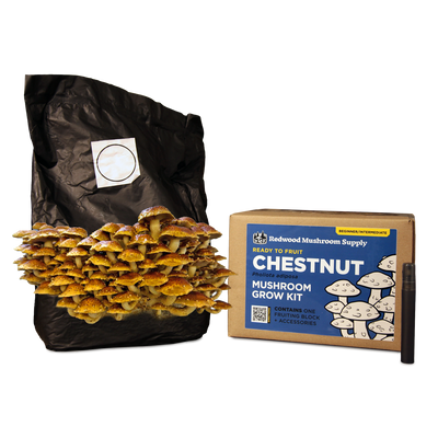 Chestnut Mushroom Grow Kit