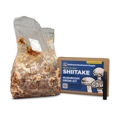 Shiitake Mushroom Grow Kit