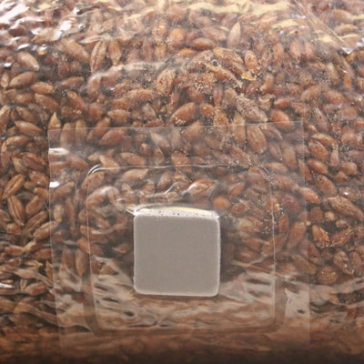 Sterilized Rye Grain Bag (3 LBS)