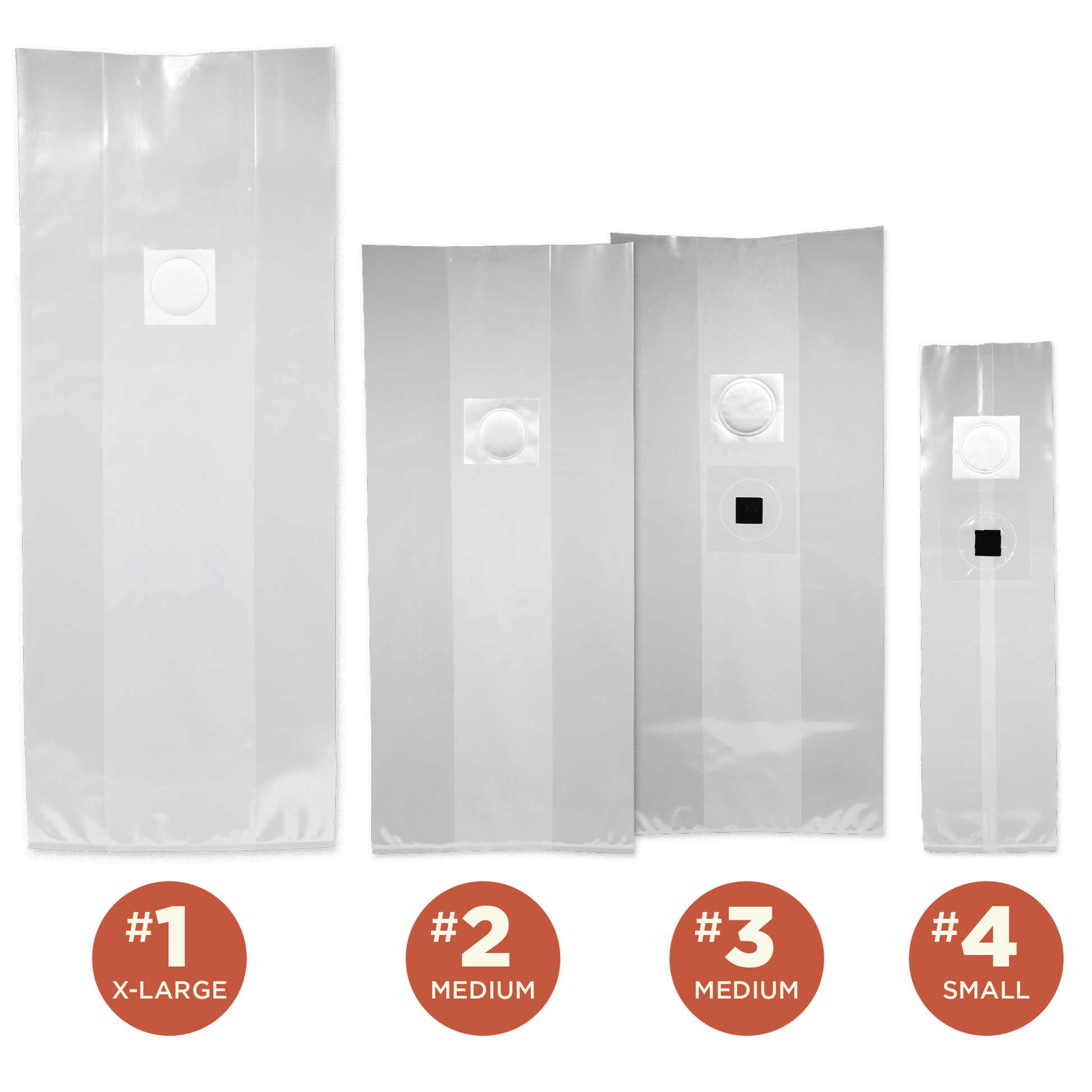 A lineup of 4 sizes of clear mushroom grow bag with filters and injection ports, with small orange circles indicating the sizes and numbers.