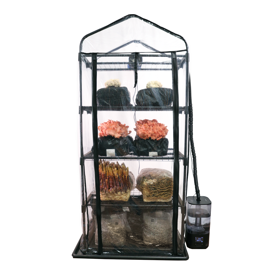 Martha Tent Mushroom Grow Tent with gourmet mushrooms on a white background