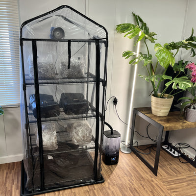 Clear grow tent with shelves inside, next to a plant on a wooden table.
