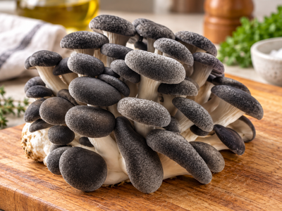 How to Grow Black Pearl Oyster Mushrooms with a Grow Kit