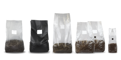 Mushroom Grow Bags 101: Everything You Should Know