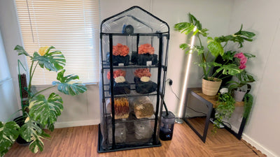 How To Assemble a Martha Tent