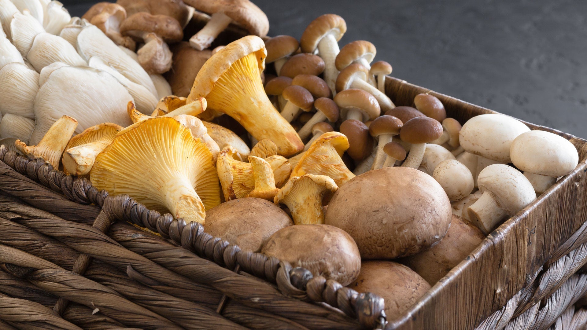 What Makes A Mushroom Organic?