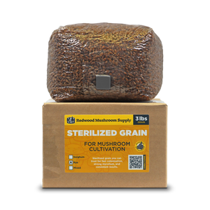 Sterilized Mushroom Grain & Substrate