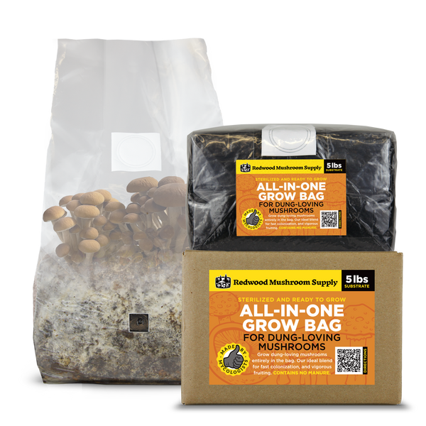 an all in one mushroom grow bag for dung loving mushrooms with mushrooms grown in the bag