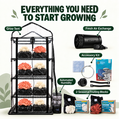 Mushroom Grow Tent Starter Kit