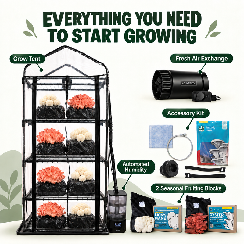Mushroom Grow Tent Starter Kit