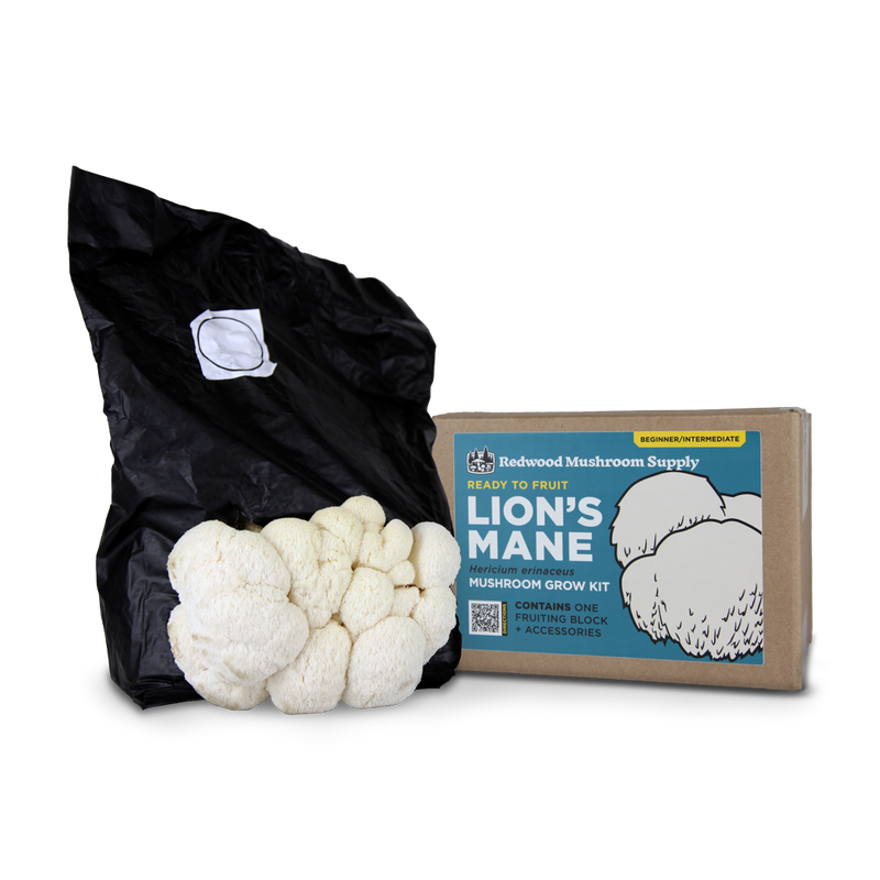 Lion's Mane Mushroom Grow Kit