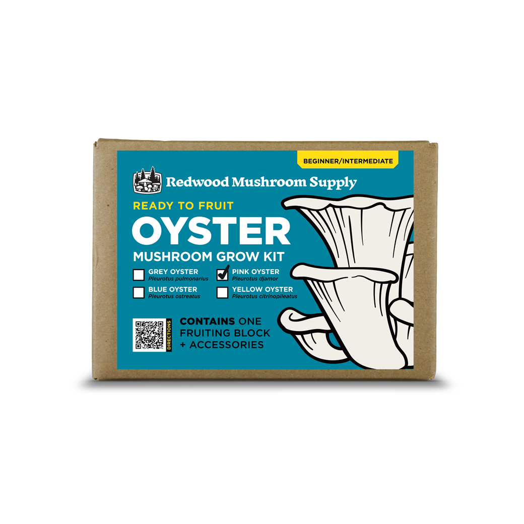 Pink Oyster Mushroom Grow Kit