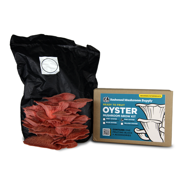 Pink Oyster Mushroom Grow Kit