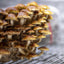 Chestnut Mushroom Grow Kit