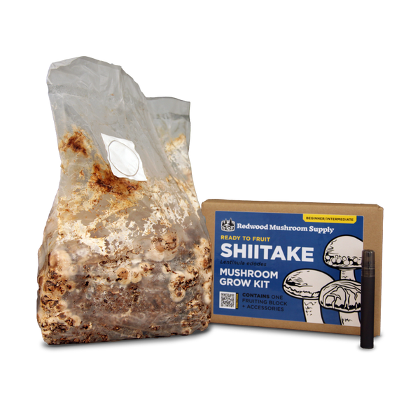 Shiitake Mushroom Grow Kit
