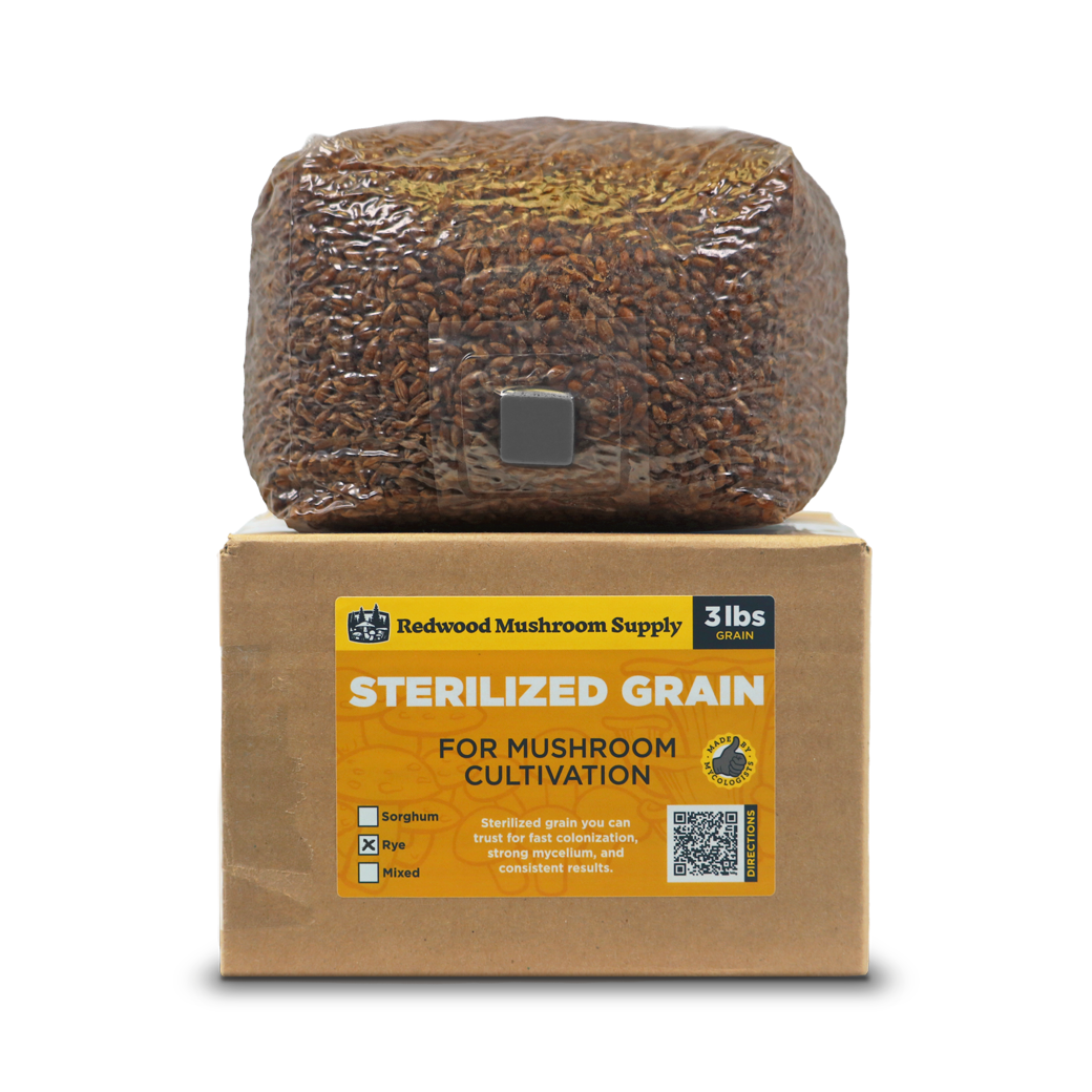 Sterilized Rye Grain Bag (3 LBS)