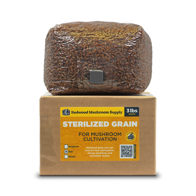 Sterilized Rye Grain Bag (3 LBS)