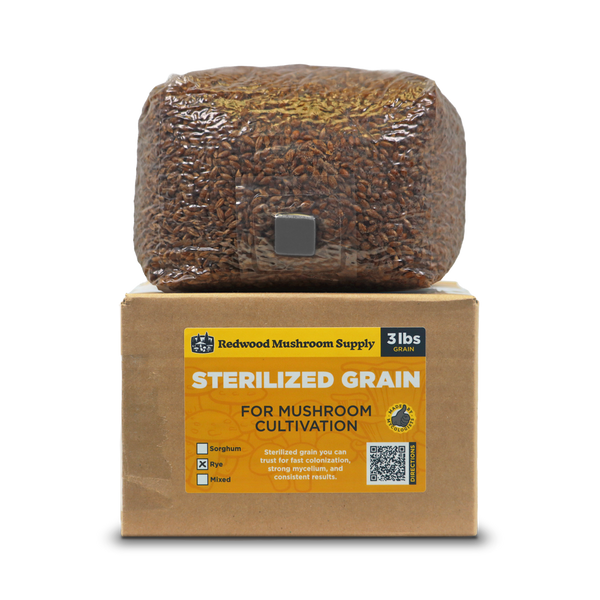 Sterilized Rye Grain Bag (3 LBS)