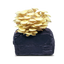 Yellow Oyster Mushroom Grow Kit