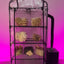 ShroomRoom Automated Mushroom Tent Bundle