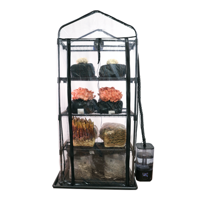 Martha Tent Mushroom Grow Tent  with gourmet mushrooms on a white background