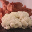 Lions mane mushroom grow kit with a pink oyster mushroom grow kit in the background
