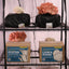 Lions mane and pink oyster mushroom grow kits from redwood mushroom supply on a martha tent shelf