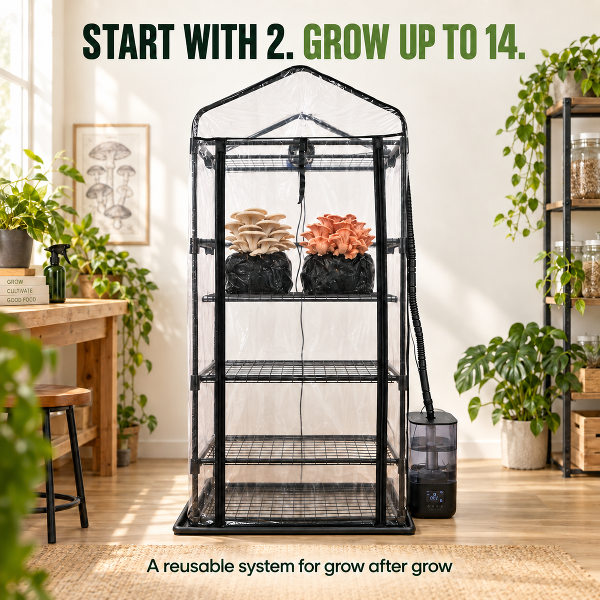 Mushroom Grow Tent Starter Kit