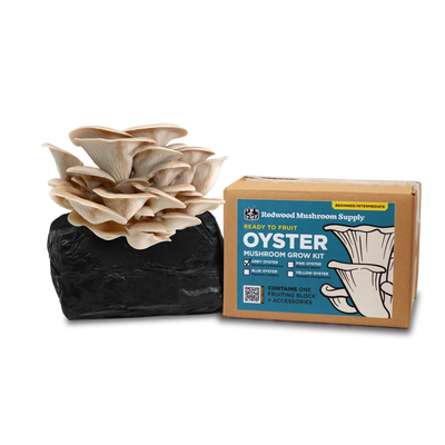 Grey Oyster Mushroom Grow Kit