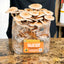 all in one mushroom grow bag with mushrooms growing in the bag