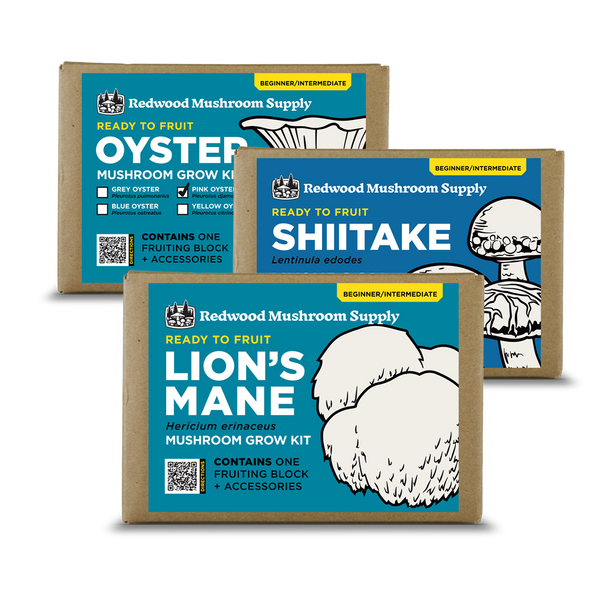 Build-Your-Own Mushroom Box