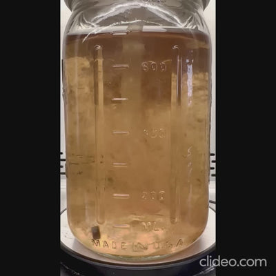 Dr. Myc™ Adaptive Liquid Culture PreMix